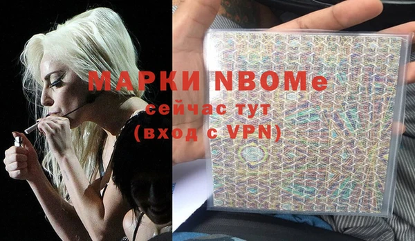 молекула духа Богданович