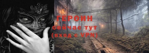 молекула духа Богданович