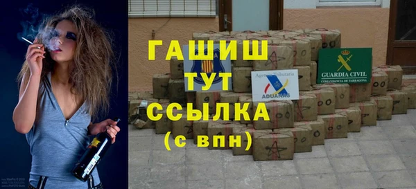 молекула духа Богданович