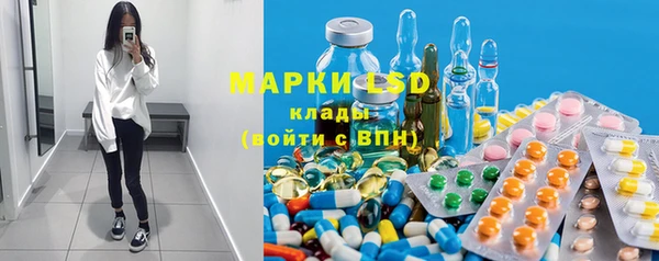 молекула духа Богданович
