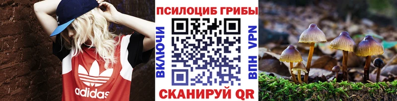 Галлюциногенные грибы Psilocybine cubensis  blacksprut ссылка  Валуйки  сколько стоит 