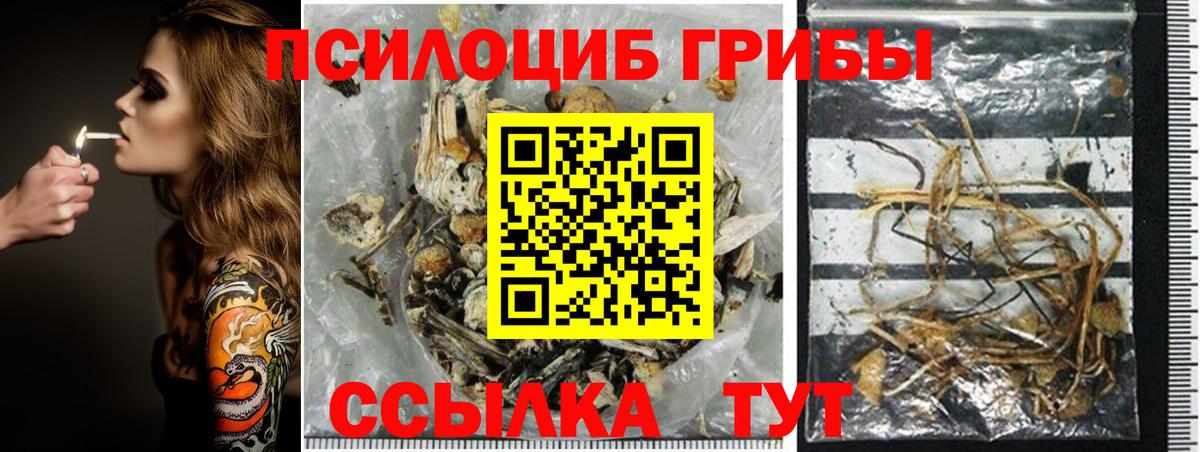 Галлюциногенные грибы Magic Shrooms Валуйки
