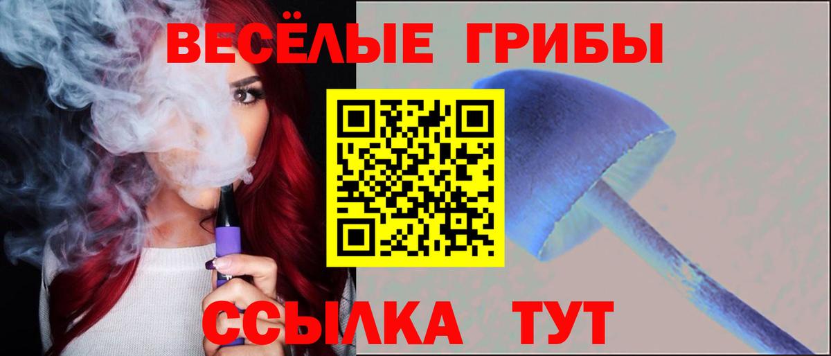 А ПВП Валуйки